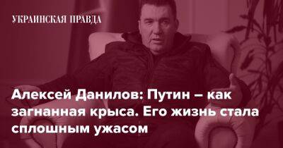 Алексей Данилов: Путин – как загнанная крыса. Его жизнь стала сплошным ужасом