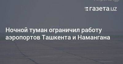 Ночной туман ограничил работу аэропортов Ташкента и Намангана