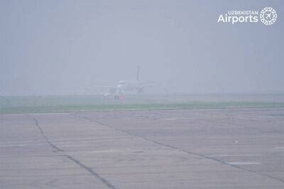 Сильный туман ограничили работу нескольких аэропортов Узбекистана
