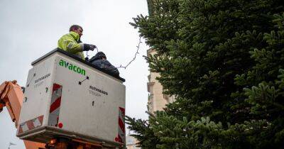 "Это позор": жители образцового британского городка раскритиковали королевскую елку