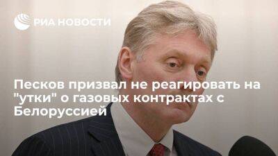Пресс-секретарь Песков назвал теории о торгах с Белоруссией по газу газетными "утками"