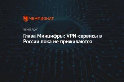 Глава Минцифры: VPN-сервисы в России пока не приживаются