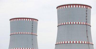 Владимир Путин: Россия готова и дальше развивать проект по строительству Белорусской атомной электростанции, даже "в ущерб себе"