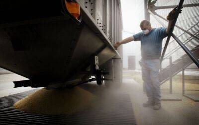 Росія збільшила експорт пшениці з окупованого Криму до Сирії майже в 20 разів, - Reuters