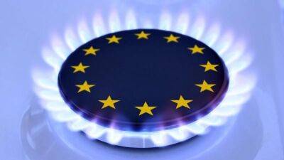 ЕС утвердил предельную цену на газ — Reuters