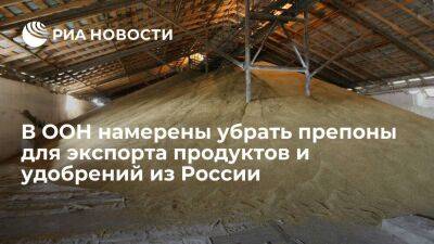 Гутерреш: ООН намерена устранить препятствия для экспорта продуктов и удобрений из России