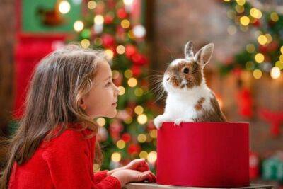 Які страви мають бути на новорічному столі в рік Чорного Водяного Кролика