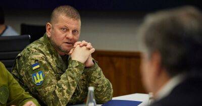 Армия держится на дисциплине: Залужный поддержал закон об усилении наказания дезертирам (видео)