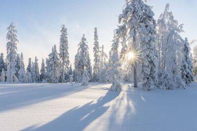 Мороз - Яку погоду принесе в Україну потужний антициклон, розповіла синоптик - lenta.ua - Украина
