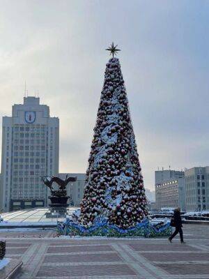 На площади Независимости поставили елку. На ней красно-зеленые снегири