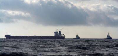Через дії РФ у "зерновому коридорі" застрягли 96 суден - АМПУ