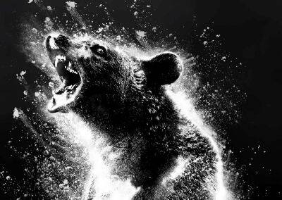 «Медведь под кайфом» — украинский трейлер комедийного триллера о косолапом, который случайно съел огромную дозу кокаина