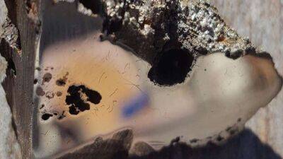 Вчені виявили два невідомі раніше в природі мінерали (Фото)