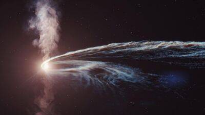 Черная дыра разорвала звезду и объединила астрономов со всего мира – открытие было бы невозможно без сотрудничества и бысто реагирующих телескопов