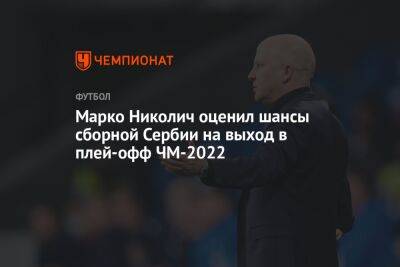 Марко Николич оценил шансы сборной Сербии на выход в плей-офф ЧМ-2022