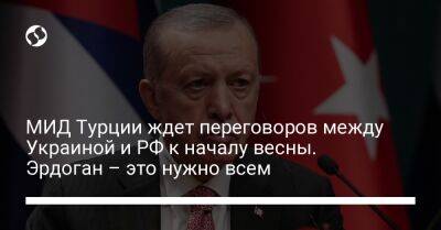 МИД Турции ждет переговоров между Украиной и РФ к началу весны. Эрдоган – это нужно всем