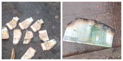 Канализацию забило деньгами на Тернопольщине, появилось видео: "только сотнями евро найдено..."