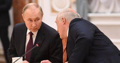 "Готовы к любым итогам": Путин и Лукашенко скоро встретятся еще раз, — Кулеба (видео)