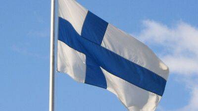 Неизвестные забросали кувалдами посольство Финляндии в Москве