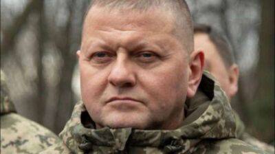 У Міноборони роз'яснили заяву Залужного про танки, БМП та гаубиці - lenta.ua - Україна - місто Донецьк - місто Луганськ