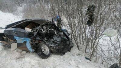 На трассе в Башкирии столкнулись ВАЗ и грузовик, один человек погиб, один пострадал - usedcars.ru - Башкирия - Нефтекамск - район Краснокамский