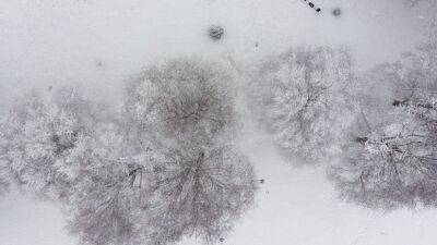 Британские учёные: снег улучшает самооценку