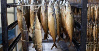 Рейд по рыбным местам: оштрафовано пять торговцев