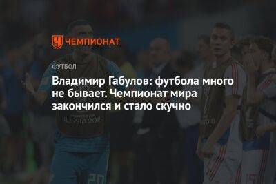 Владимир Габулов: футбола много не бывает. Чемпионат мира закончился, и стало скучно