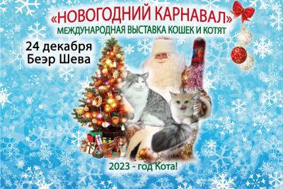 Дед Мороз и Кошки! Новогодняя выставка кошек c подарками от Деда Мороза