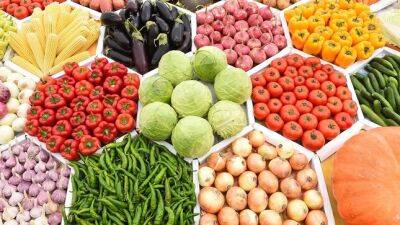 Таджикистан отправит в Россию больше овощей и фруктов