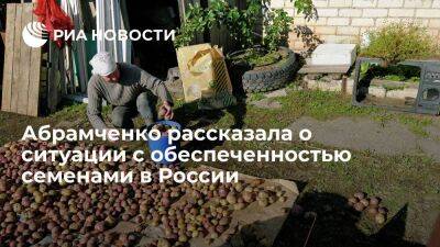 Абрамченко: Россия к 2030 году должна наполовину обеспечивать себя семенами картофеля