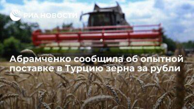 Абрамченко: Россия в порядке эксперимента осенью поставила в Турцию зерно за рубли