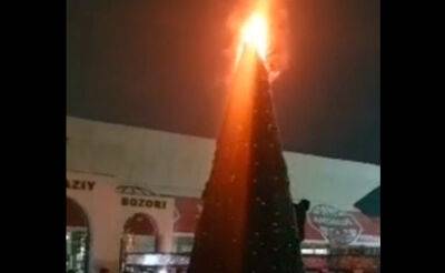Первая пошла. В Узбекистане снова горят новогодние ёлки. Видео