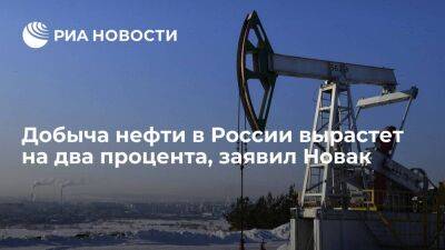 Новак: добыча нефти в России вырастет на два процента по итогам 2022 года