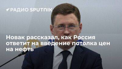 Вице-премьер Новак рассказал, как Россия ответит на введение потолка цен на нефть