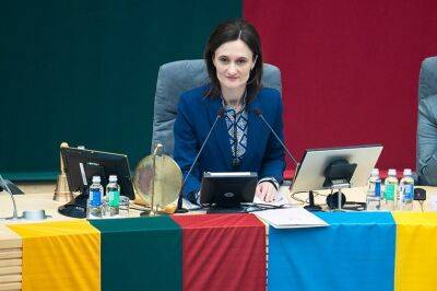 Спикер сейма Литвы в конце парламентской сессии: основные дела сделаны