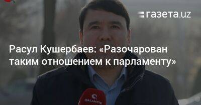 Расул Кушербаев: «Сильно разочарован таким отношением к парламенту»
