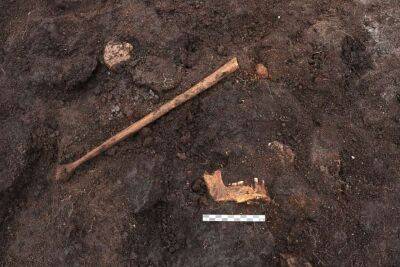 Археологи виявили в Данії кістки людських жертвоприношень (Фото)