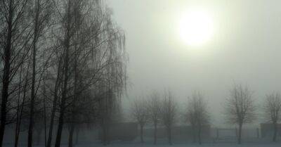 В Рождественскую субботу будет светить солнце, местами — туман и мороз