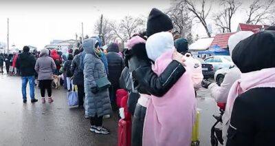 Трое из четверых не могут найти работу: украинским беженцам массово отказывают при трудоустройстве в Европе