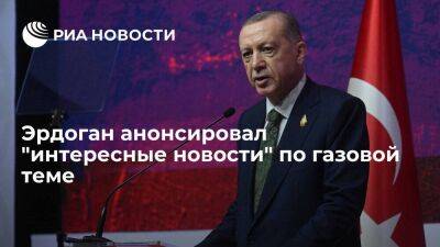 Эрдоган в понедельник намерен сообщить турецкому народу "интересные новости" по газу