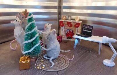 Новогоднее чудо с мышами: в Твери появилась музыкальная арт-многоэтажка
