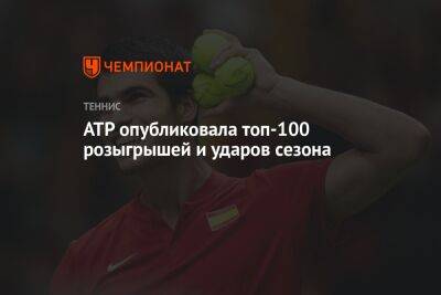 ATP опубликовала топ-100 розыгрышей и ударов сезона