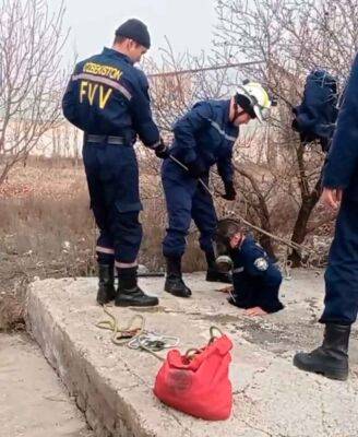 В Ферганской области неравнодушная женщина и сотрудники МЧС спасли щенка