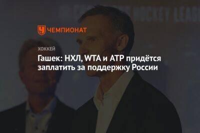 Гашек: НХЛ, WTA и ATP придётся заплатить за поддержку России