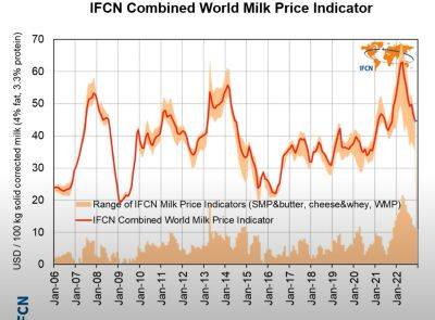 IFCN: цена на сырое молоко в мире в декабре 2022 года составила 44,6 долл./100 кг