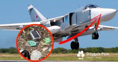 Делают авиабомбы точными: в российском бомбардировщике Су-24 обнаружили западные чипы (фото)