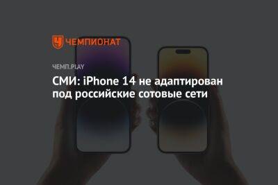 СМИ: iPhone 14 не адаптирован под российские сотовые сети
