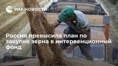 Россия закупила в интервенционный фонд 3,014 миллиона тонн зерна, превысив план 2022 года