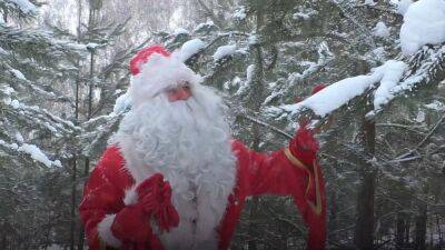 Поздравление от Деда Мороза и Снегурочки подорожало на 20% за год